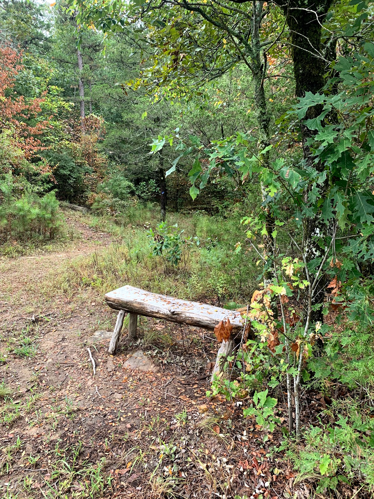 Big Creek Natural Area