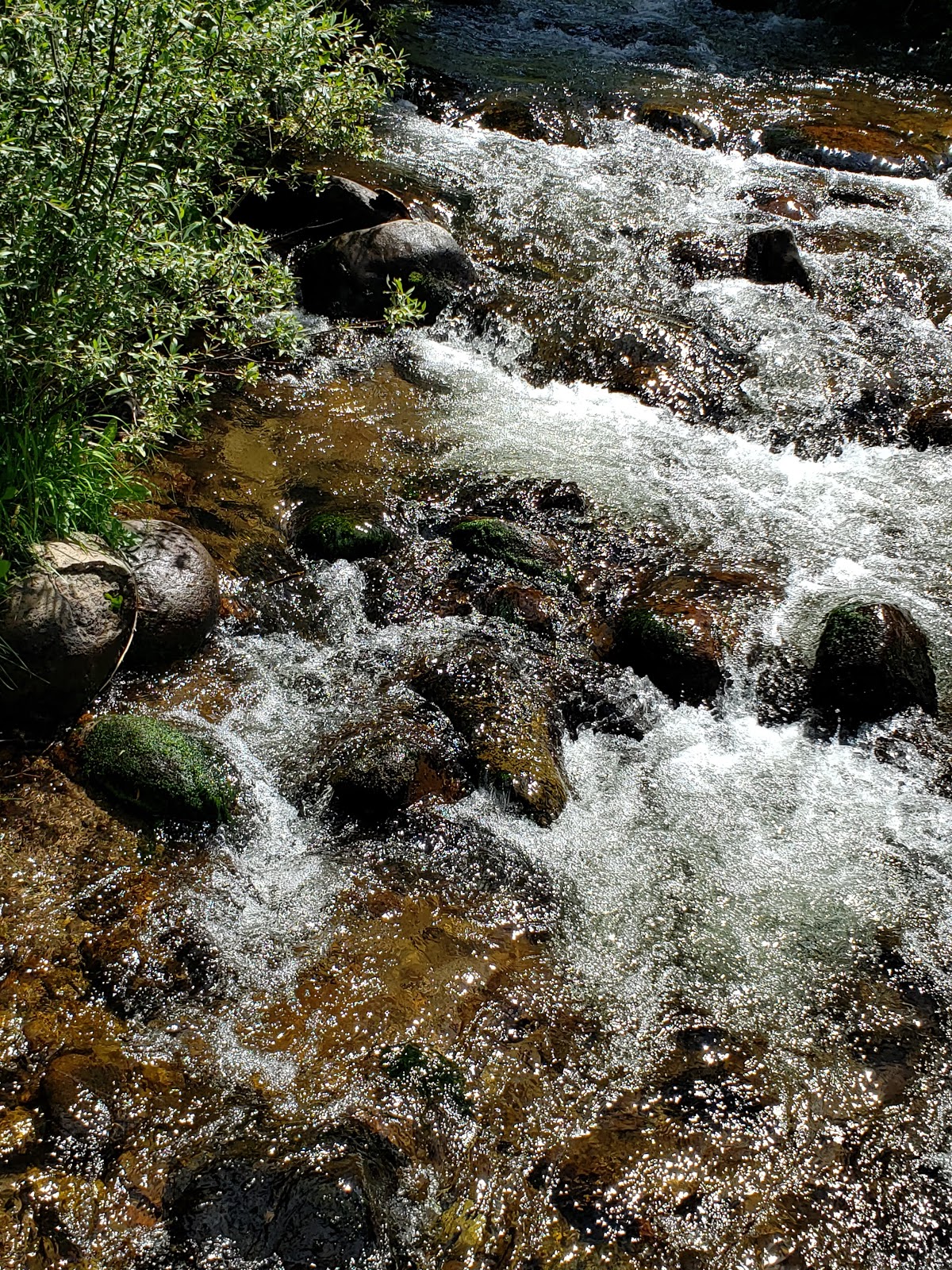 Ivy Creek Campground