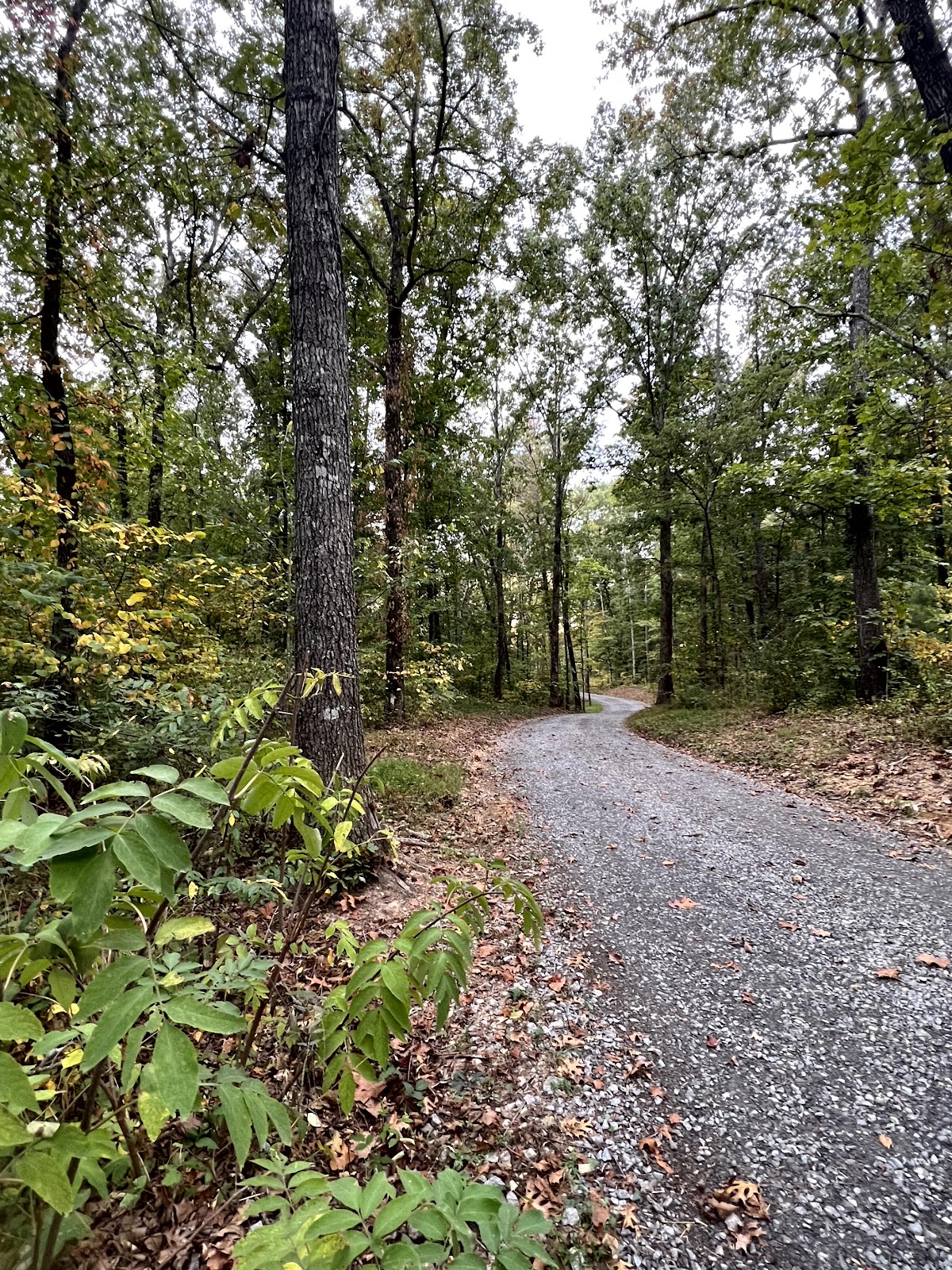 River Breeze RV Park