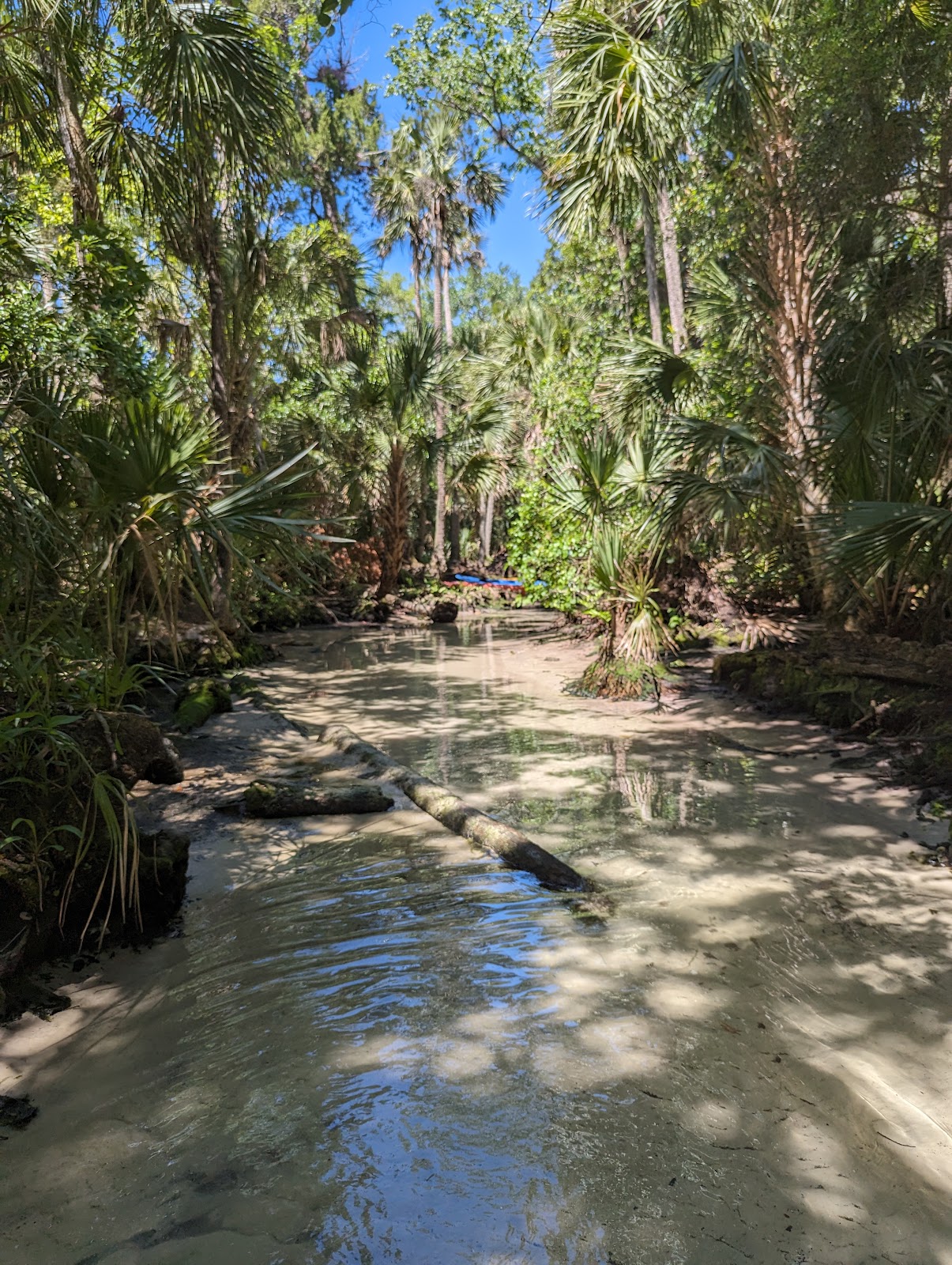 Chassahowitzka River Campground