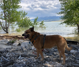 Green Creek Inn & RV Park