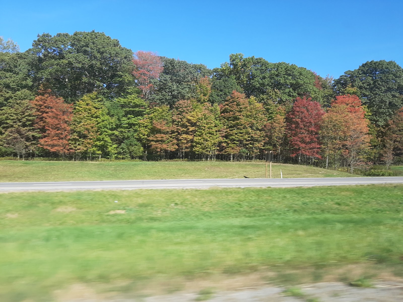 Simon B Elliott State Park