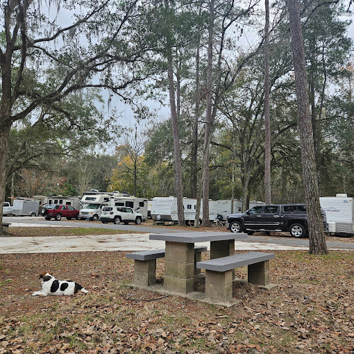 High Springs Campground
