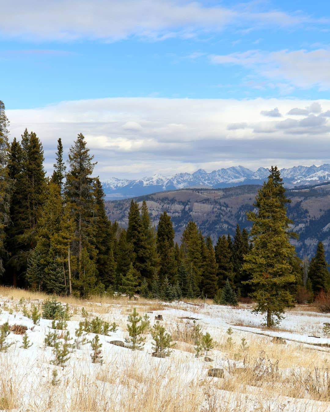 Tigiwon Community House
