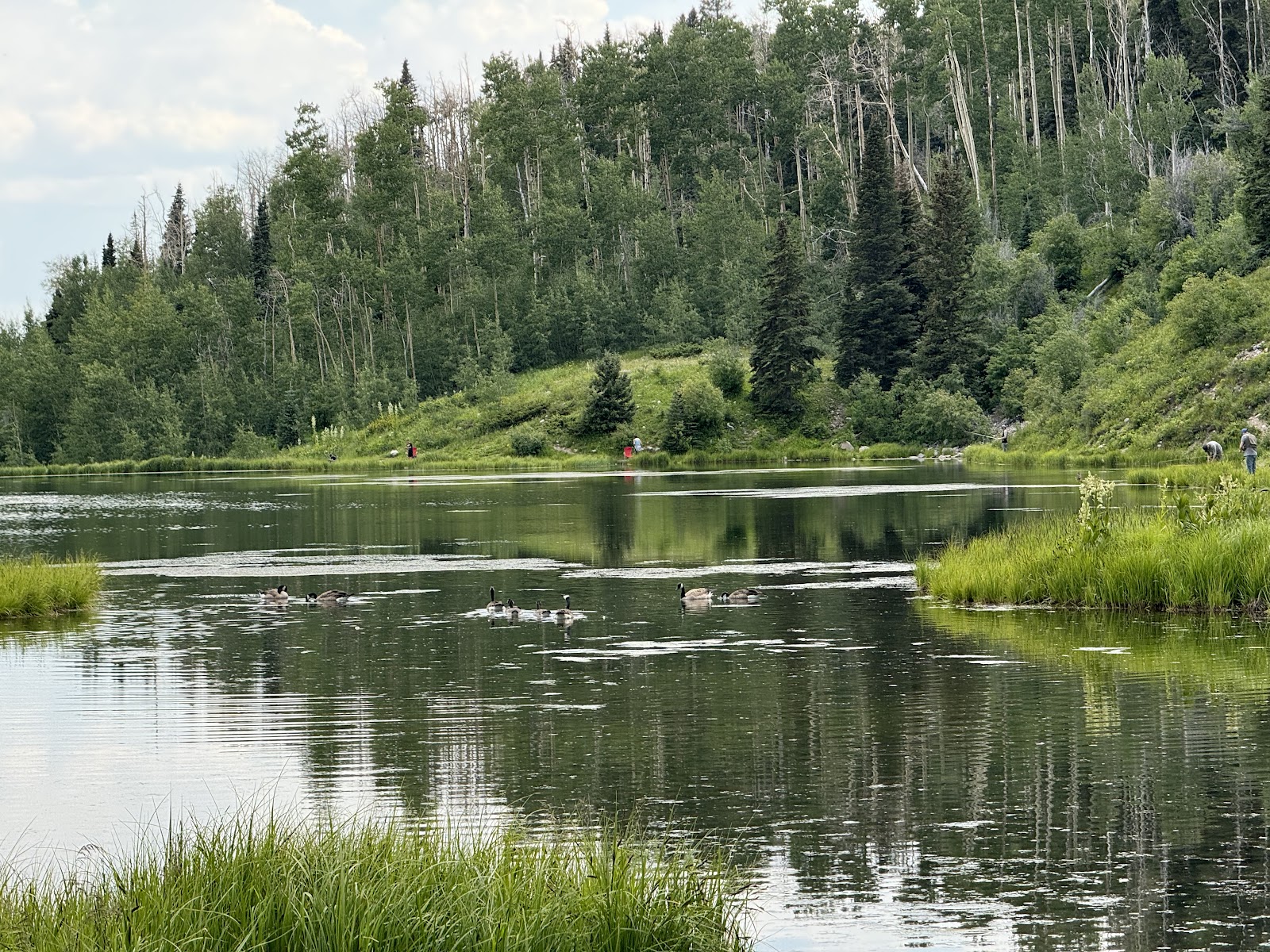 Canjilon Lakes Campground