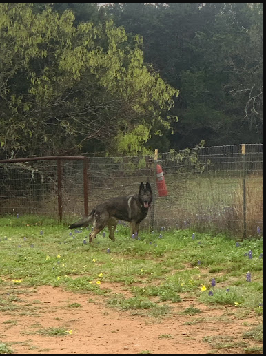 Coldwater Creek RV Park