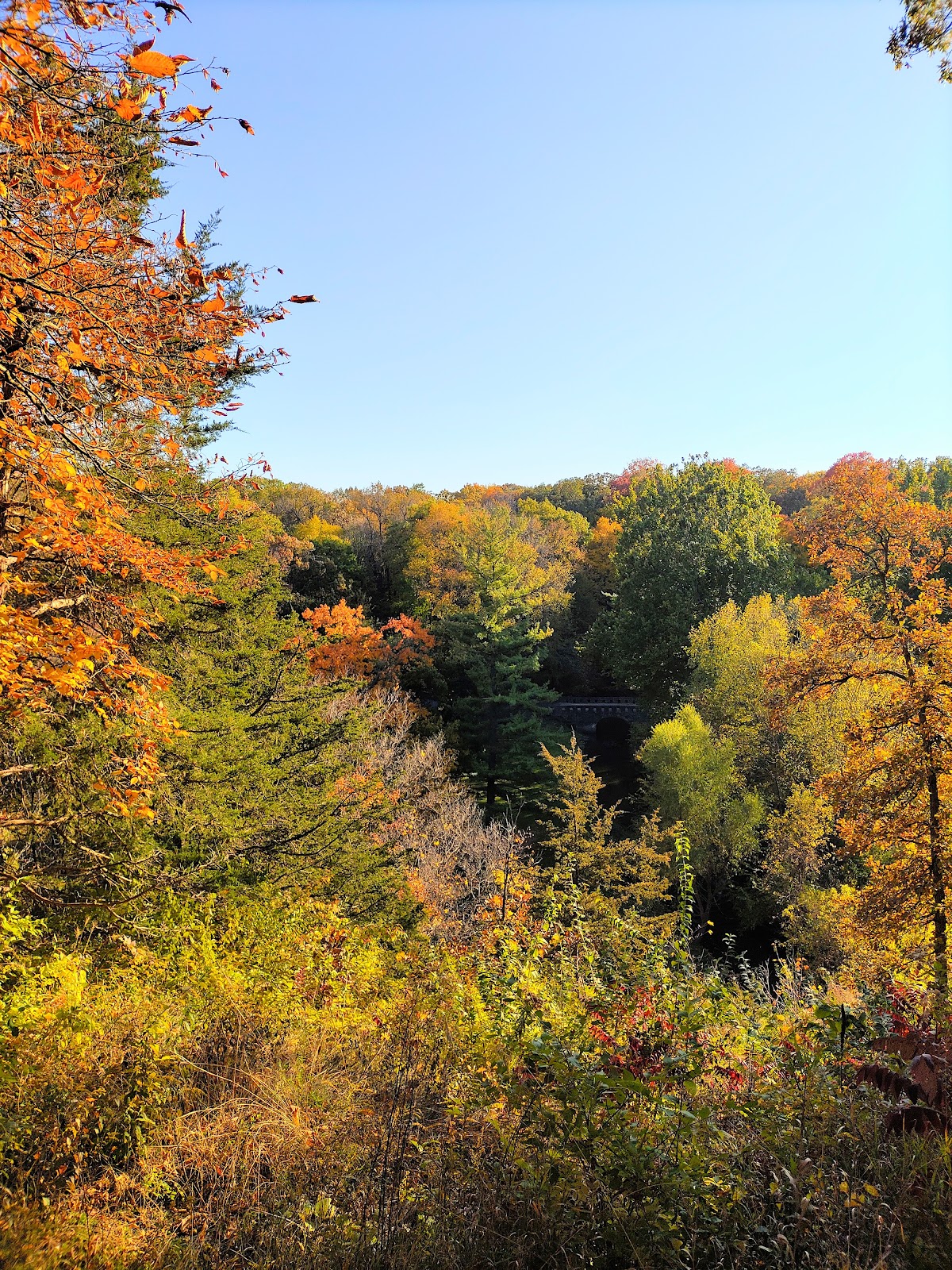 Seward Bluffs Forest Preserve