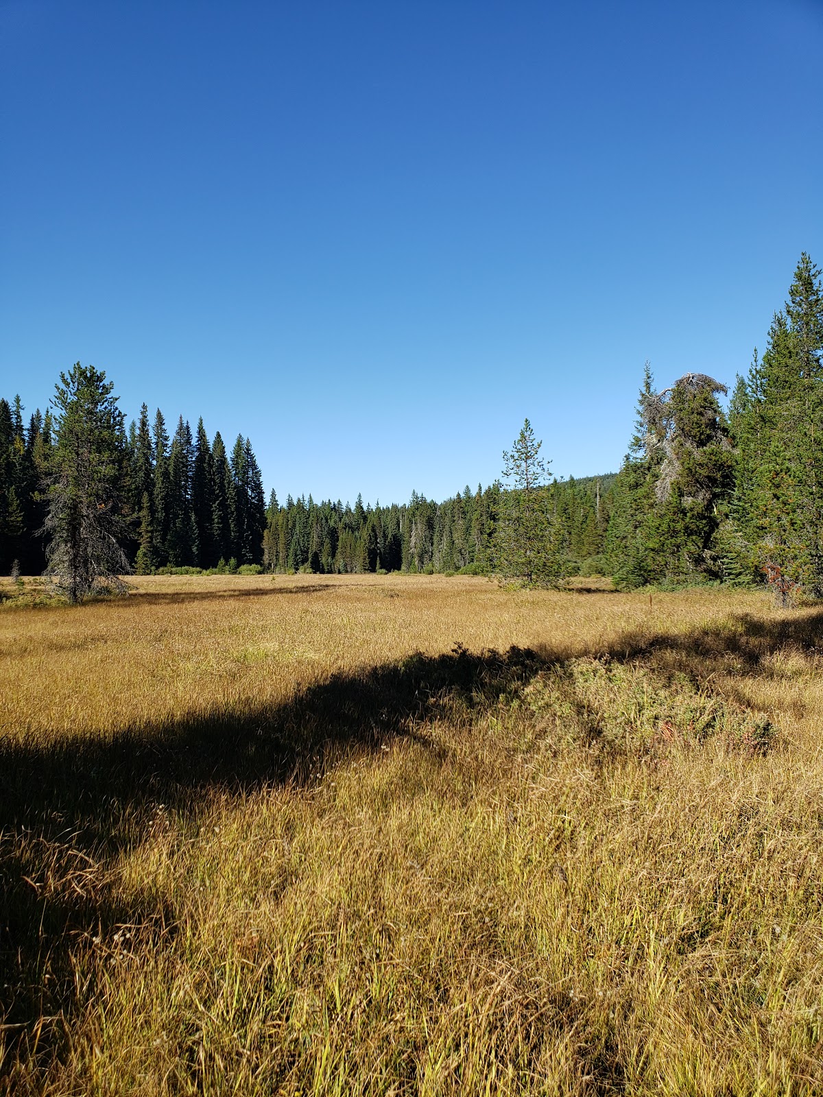Little Crater Lake Campground
