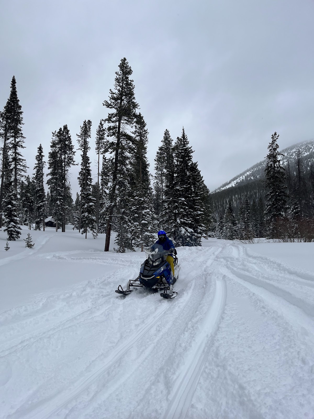 Monarch Park Campground