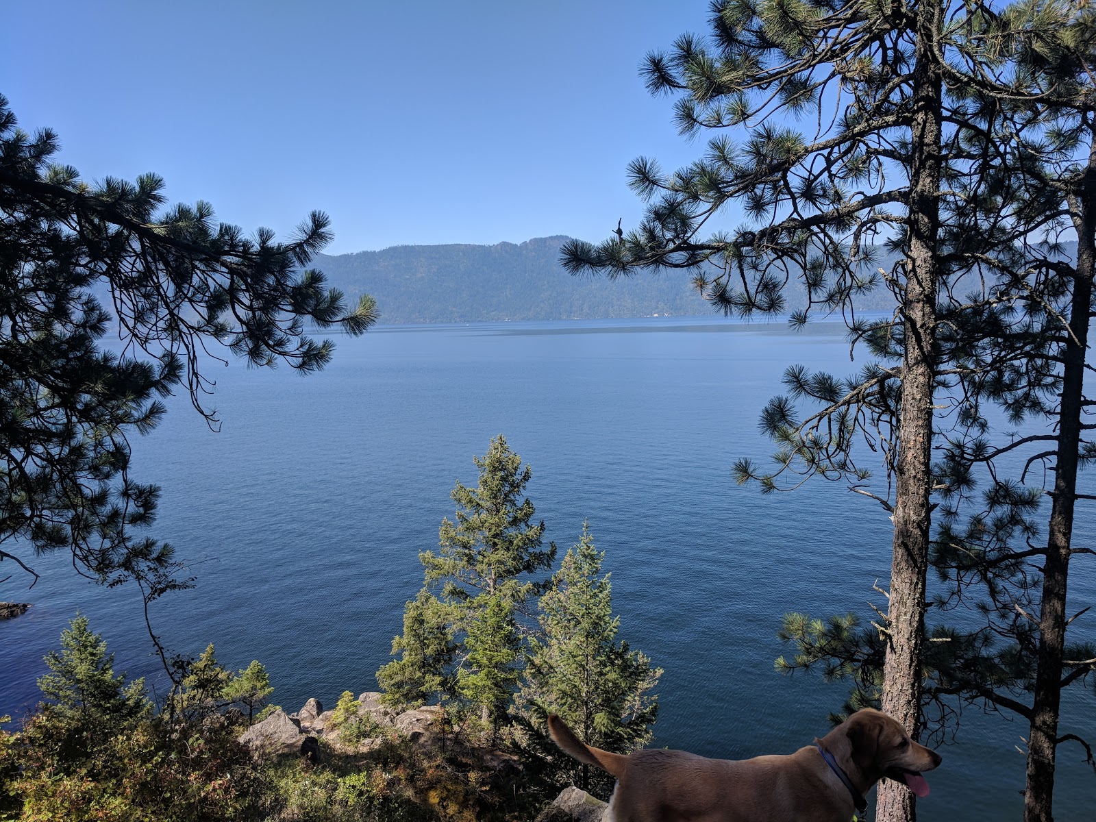 Whiskey Rock Bay Campground