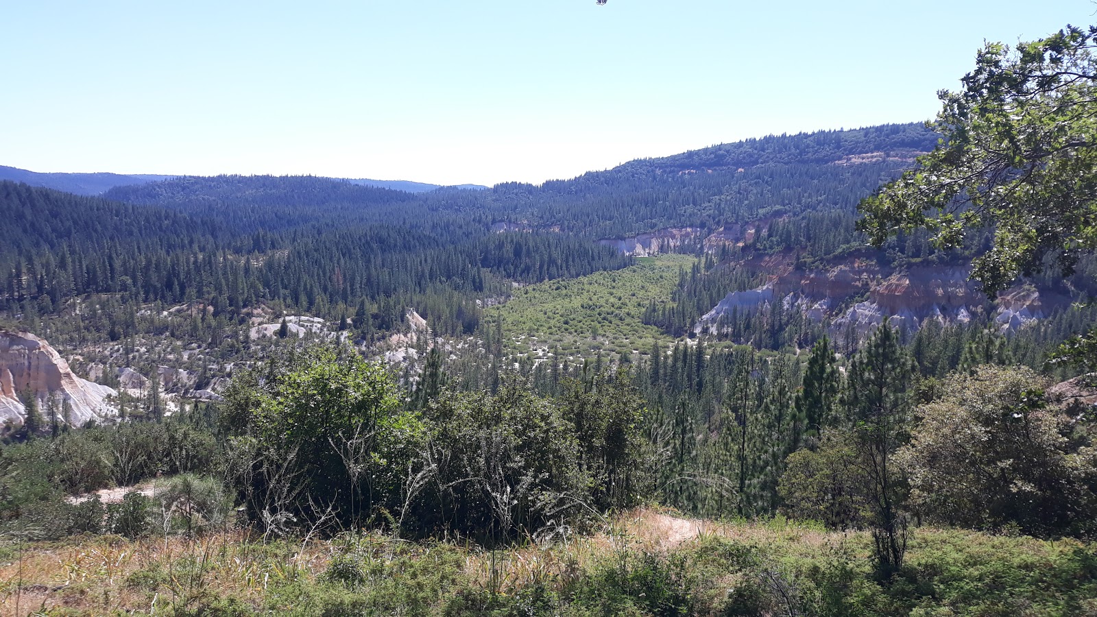 Woodchuck Campground