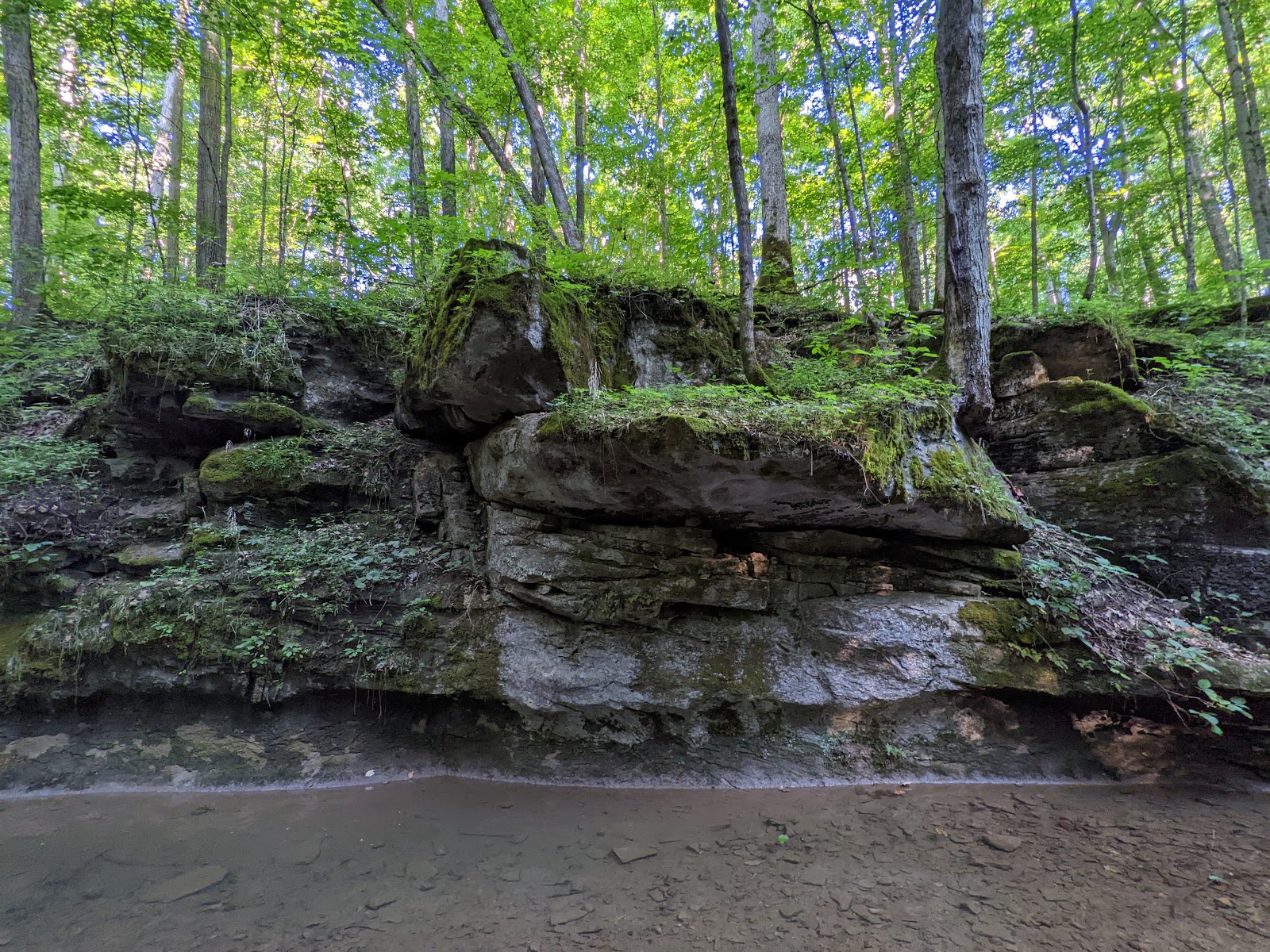 McCormick's Creek State Park