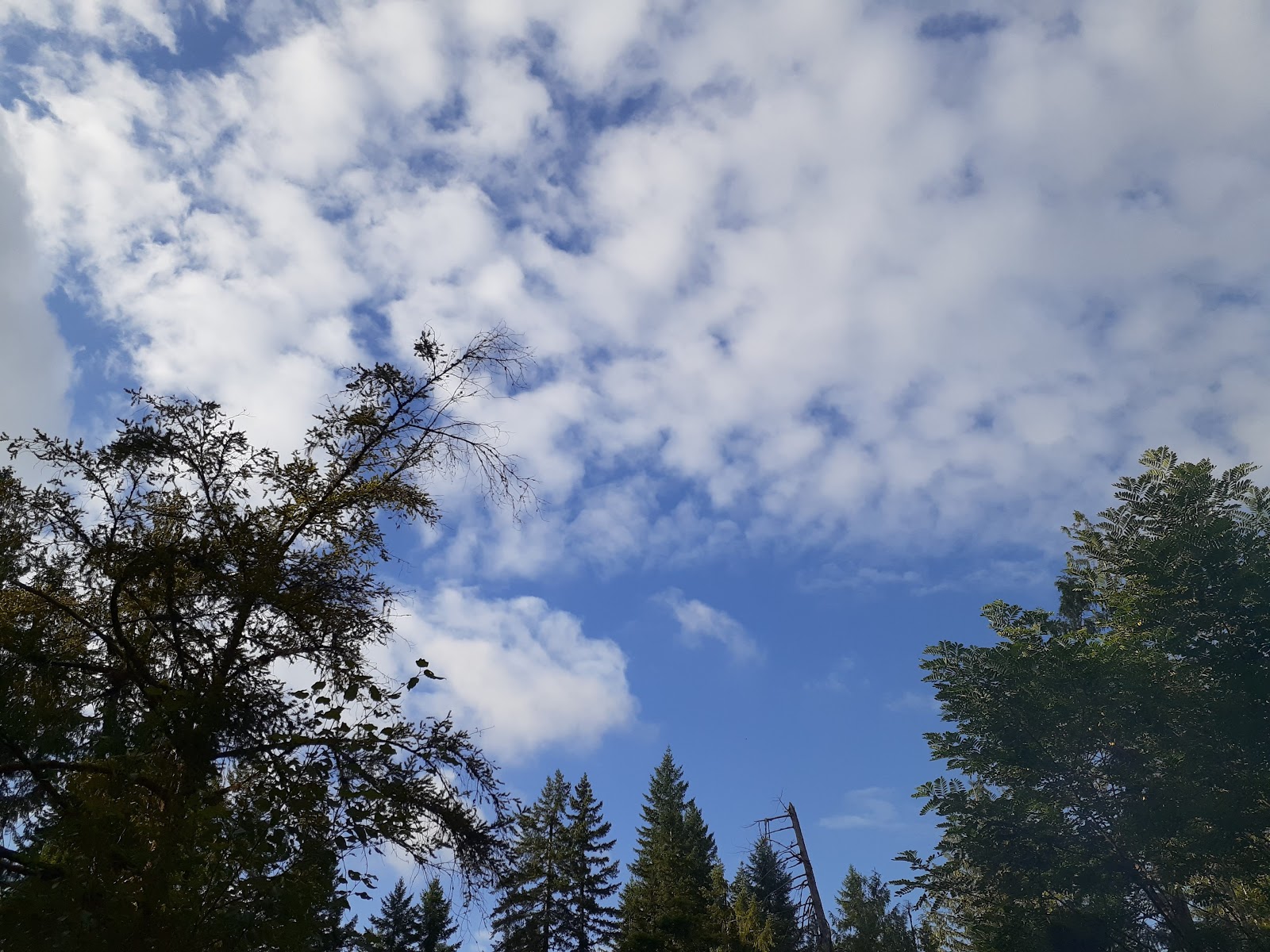 Moss Creek Campground