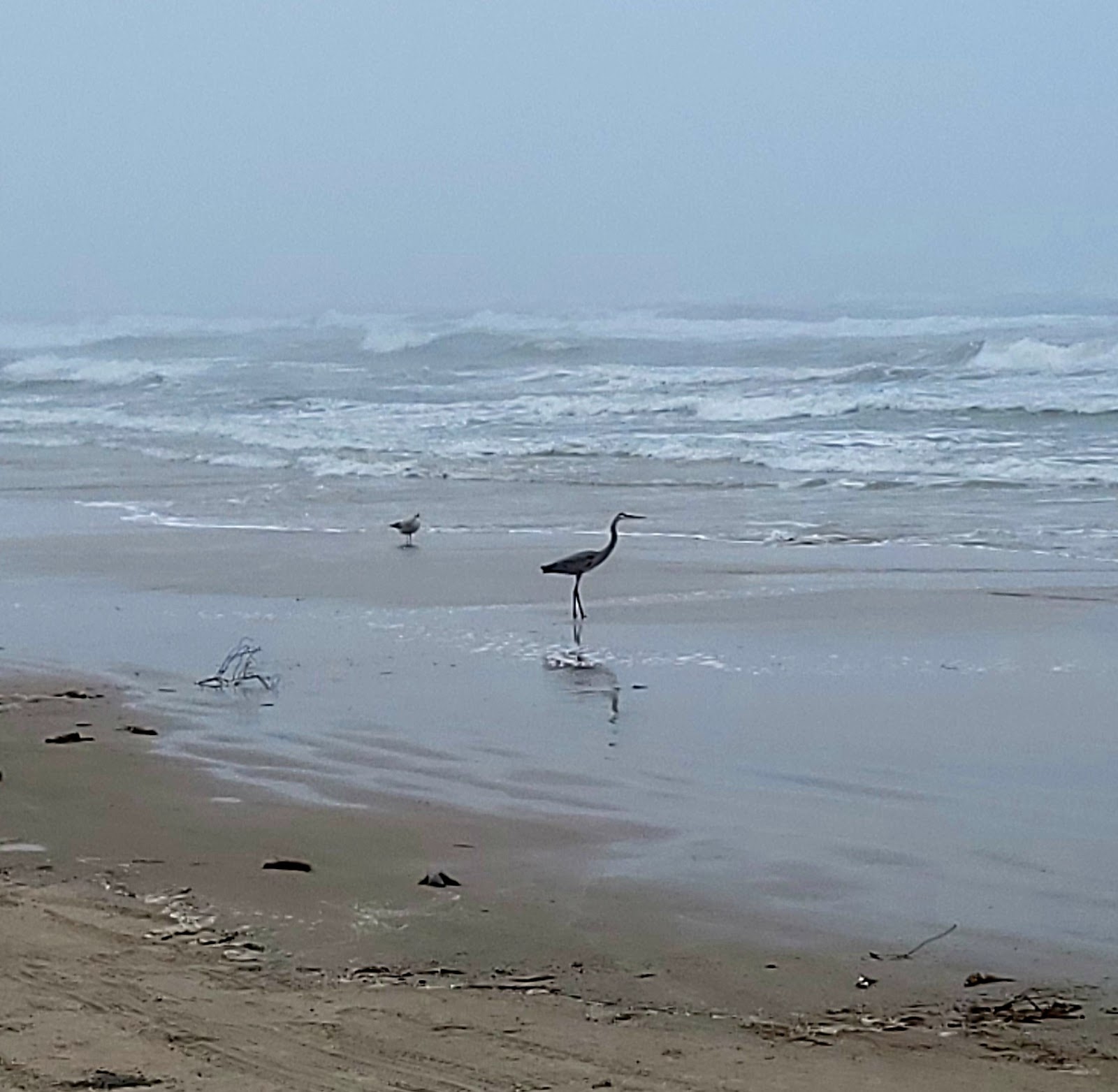 North Beach Campground - Padre Island National Seashore