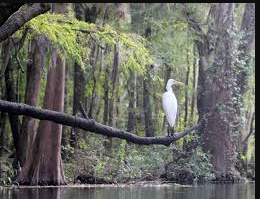 Florida Outpost Campground