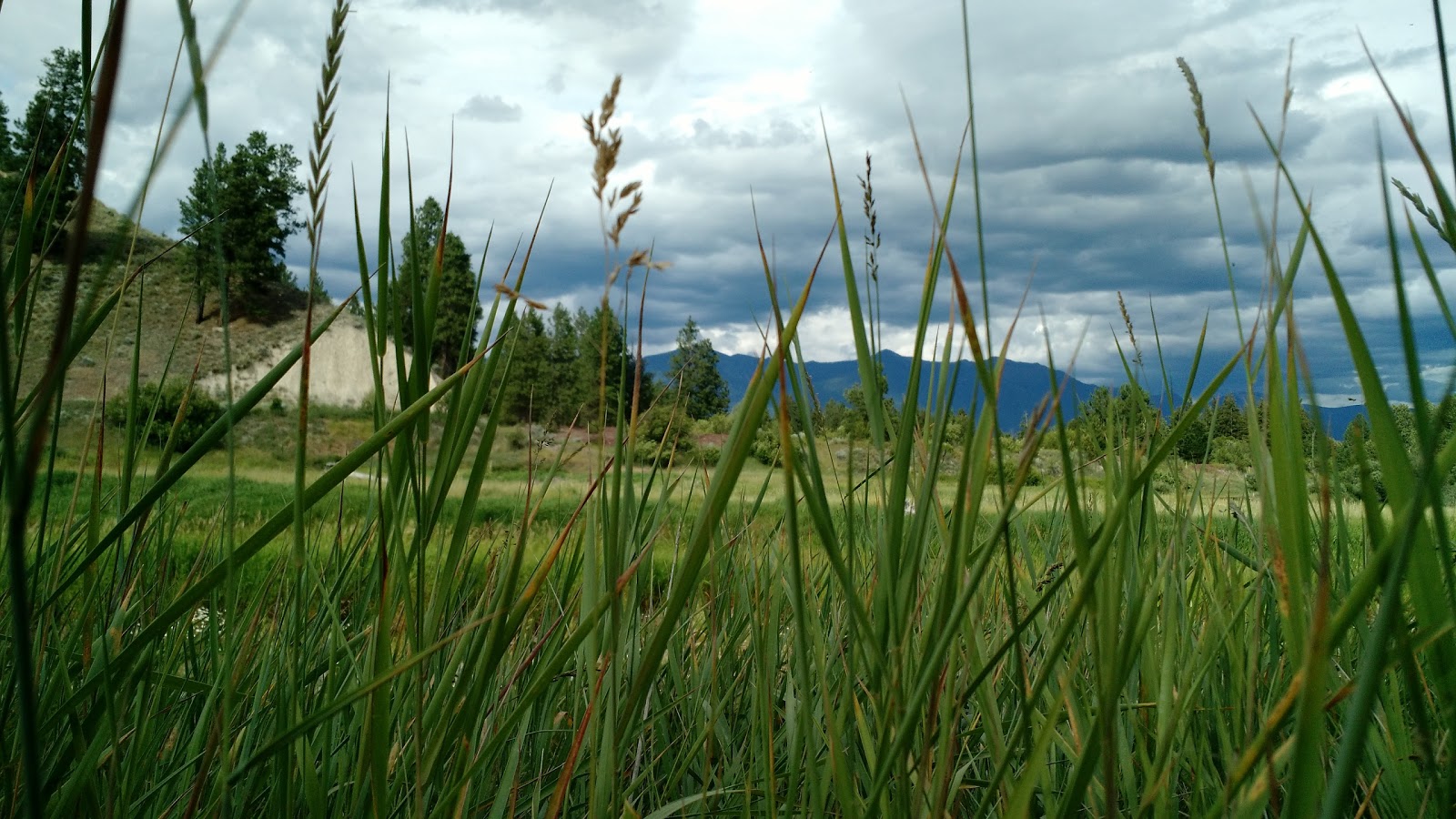 Tobacco River Campground