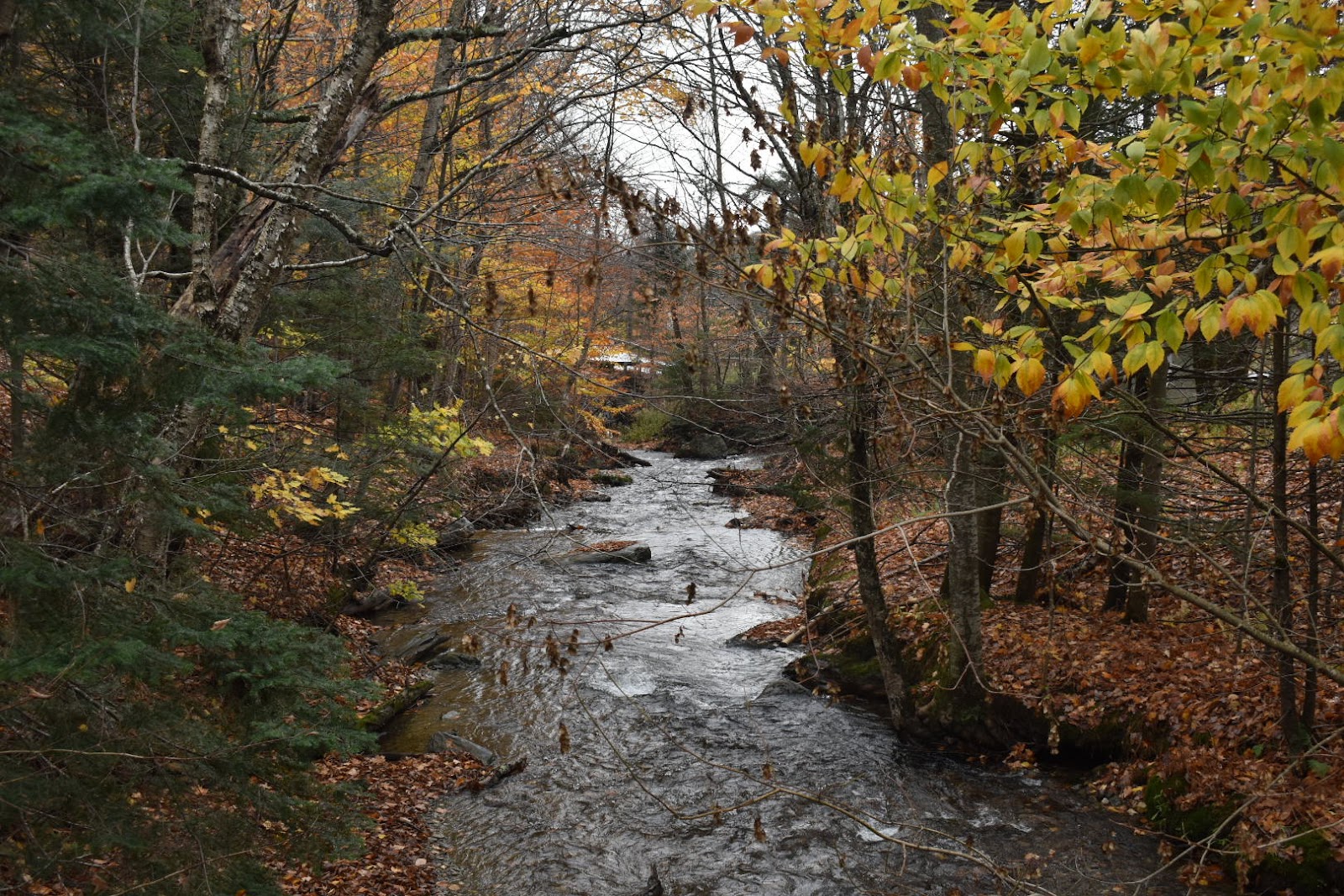 Smugglers Notch State Park Campground