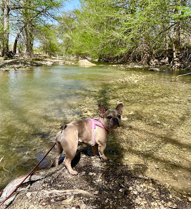 Pioneer River Resort-Bandera