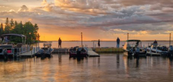 The Pines of Kabetogama