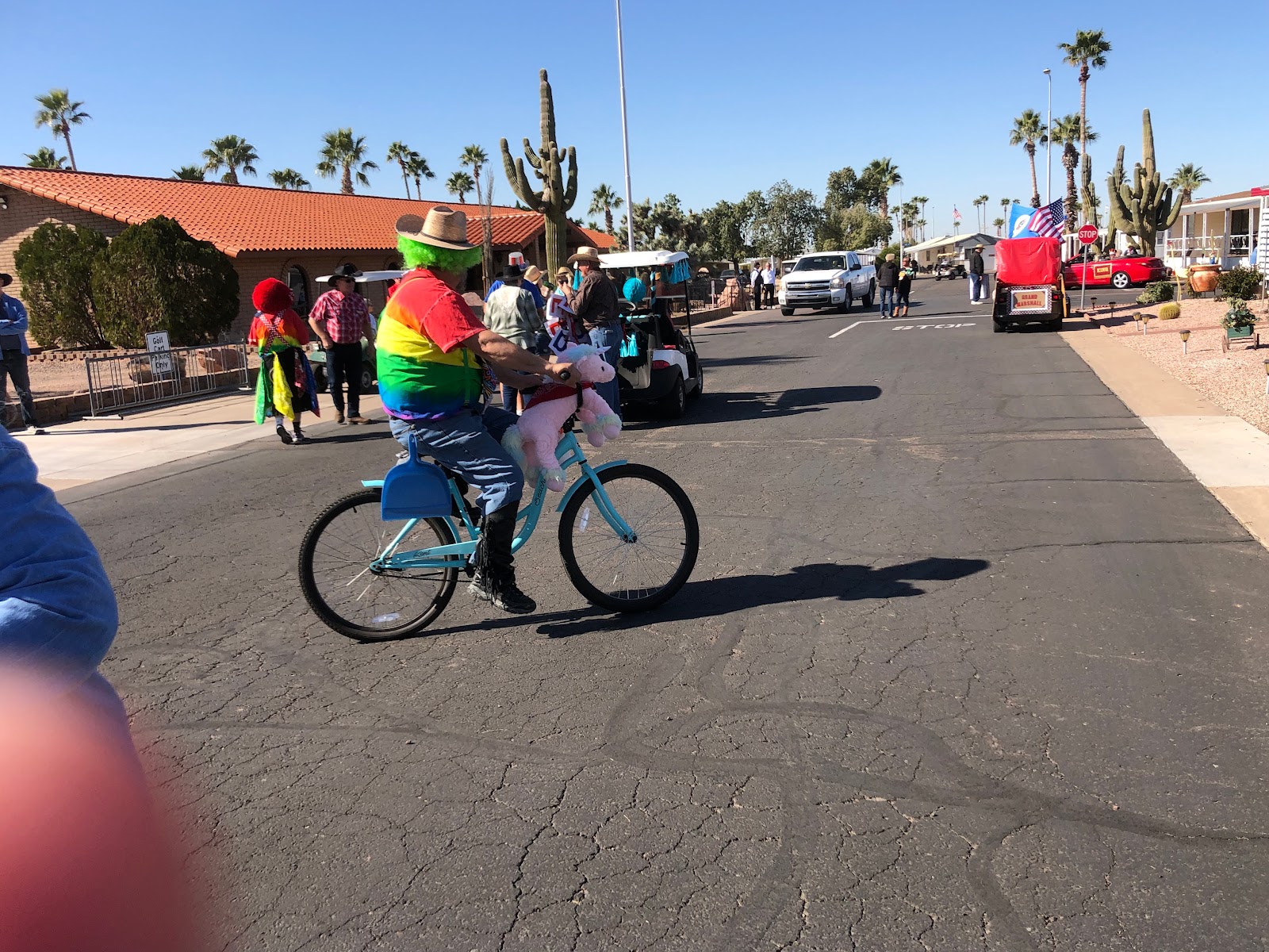 Sierra Del Saguaro/MHP