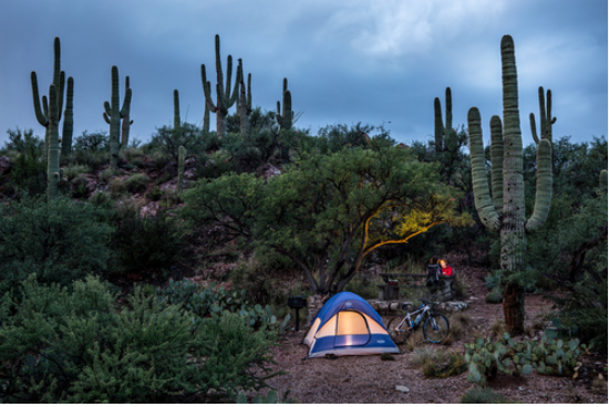 Colossal Cave Mountain Park