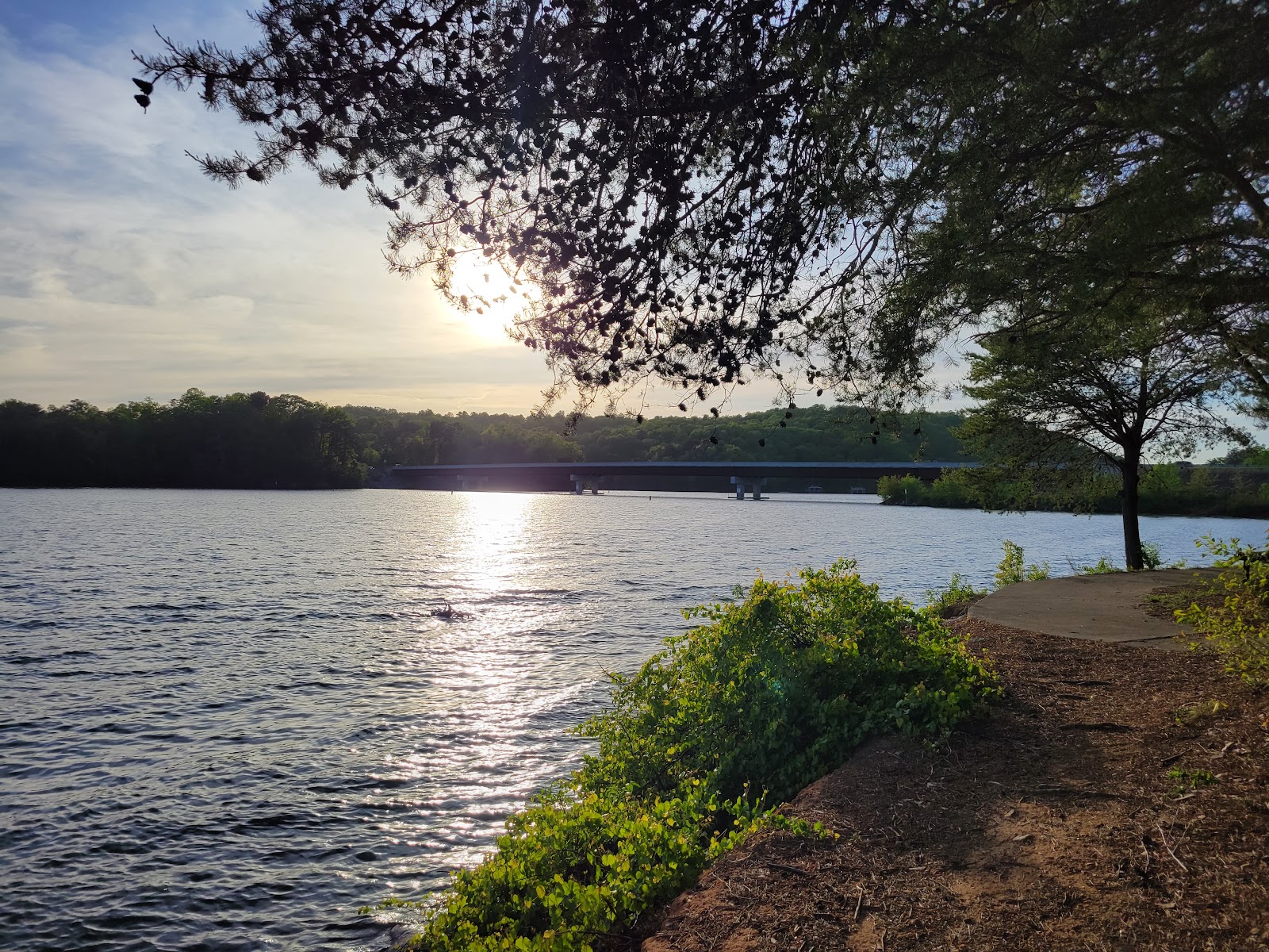 Little Hall Shelter (GA)