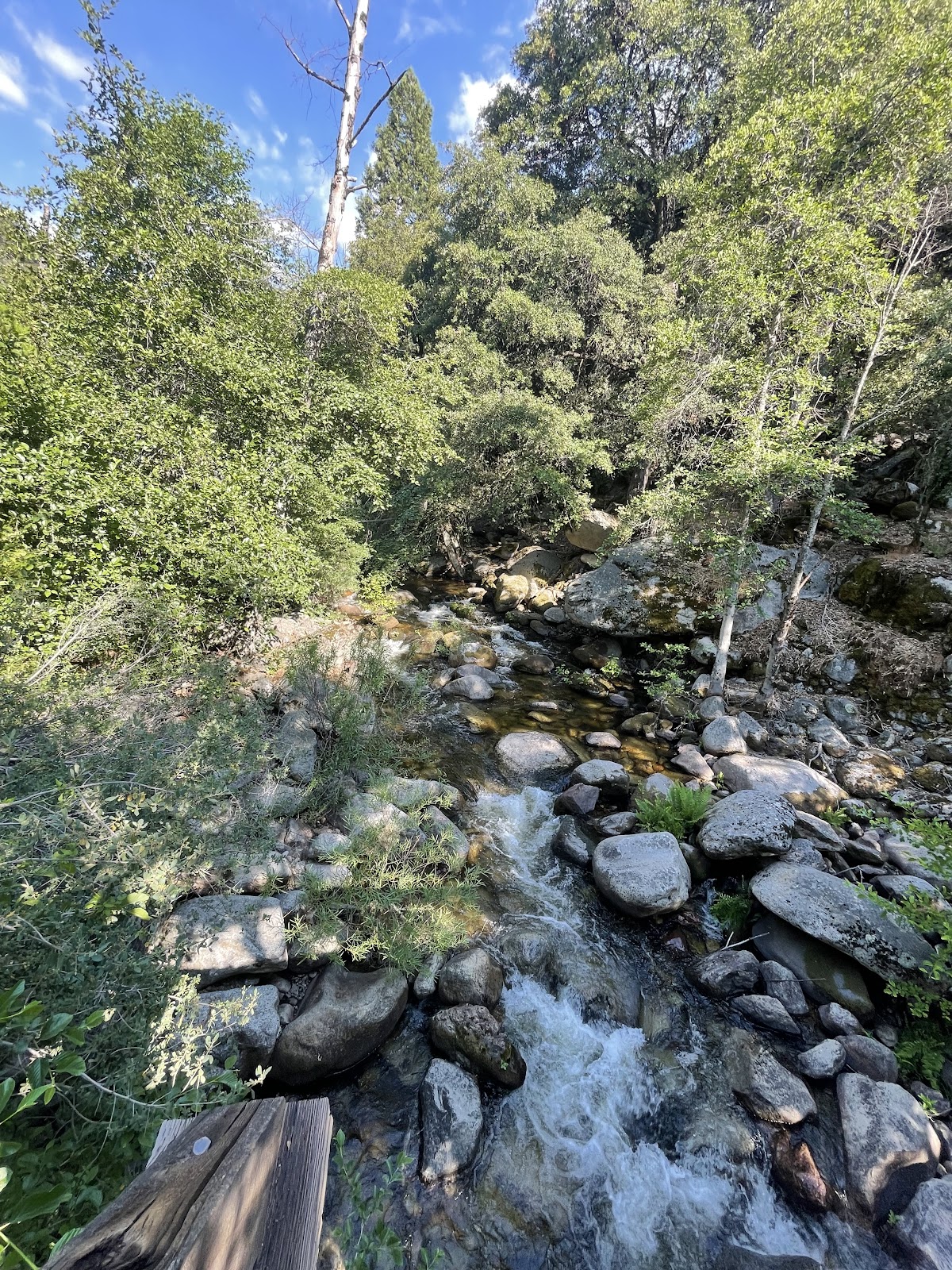 South Fork Campground - Sequoia National Park