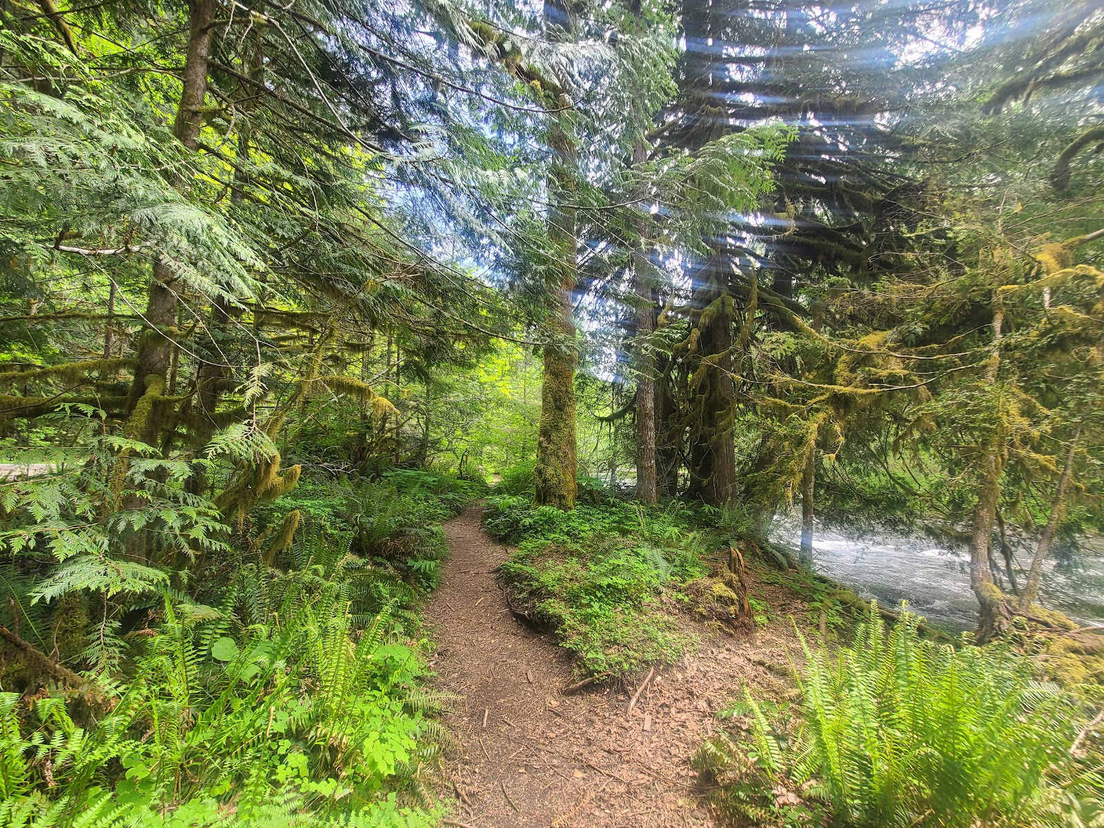 Green Canyon Campground