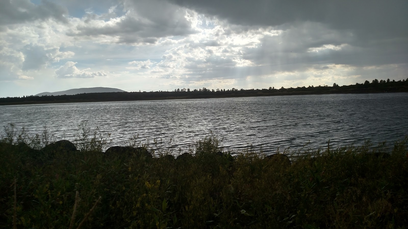 Forked Pine Campground
