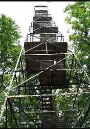 Cooks Forest Locust Lodge Campground