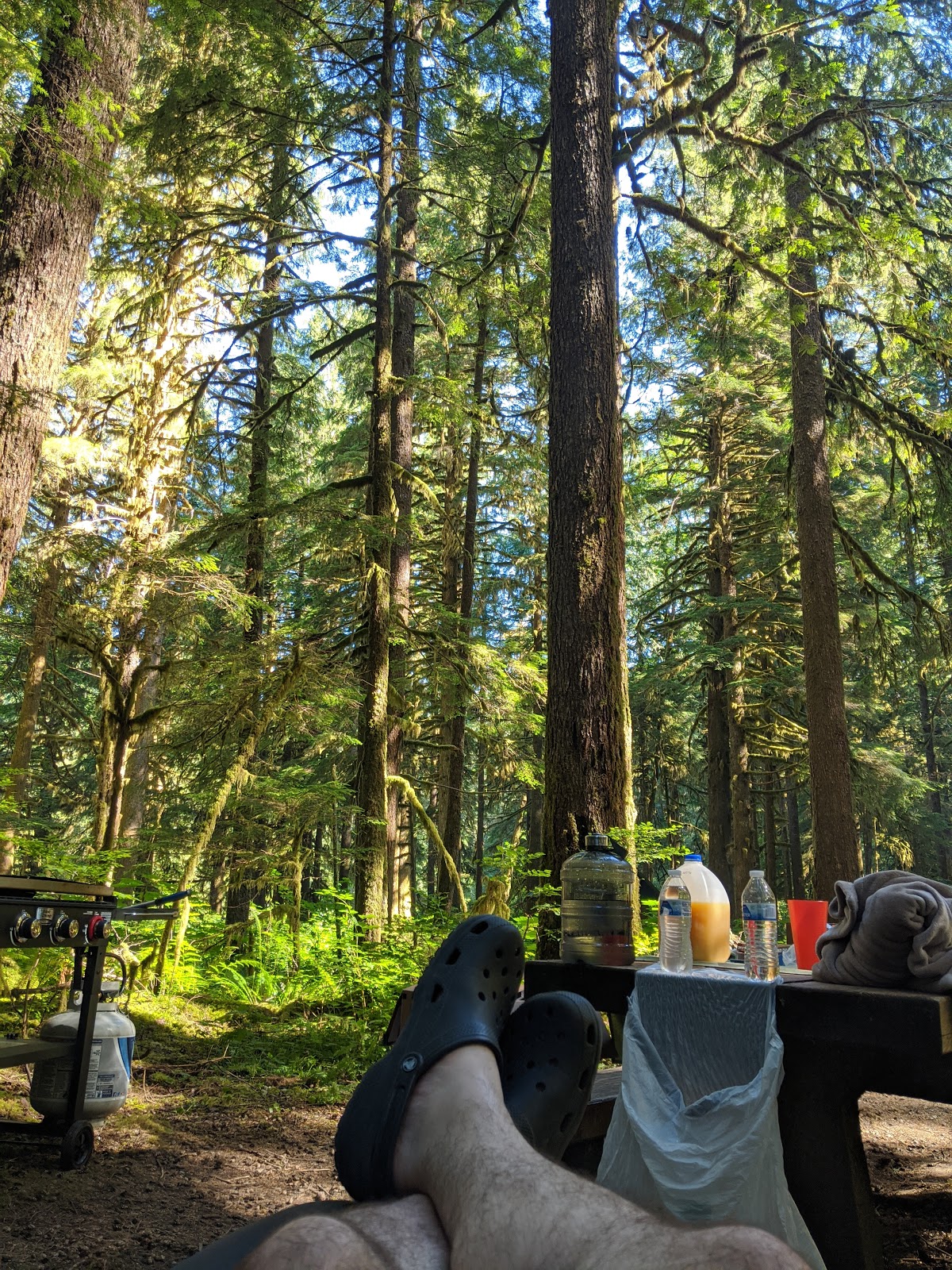 Gold Basin Campground