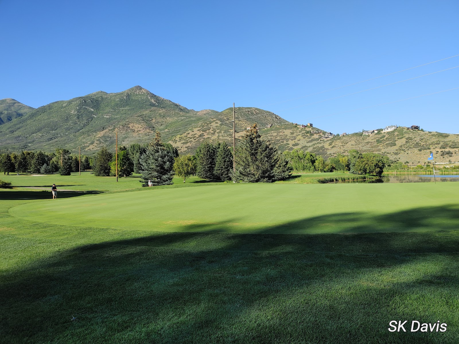 Mahogany - Wasatch Mountain State Park
