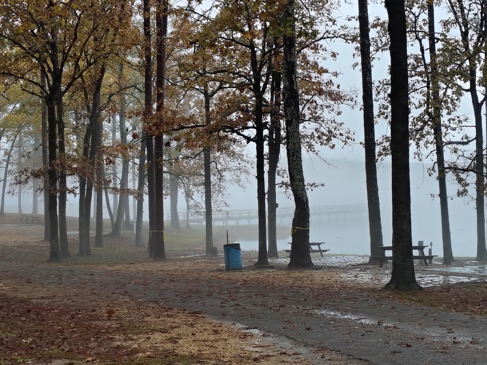 Lake Mary Crawford Camping