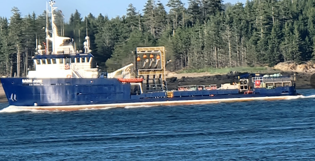 Seaview Campground & Cottages