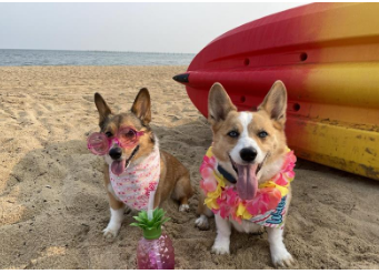 First Landing State Park