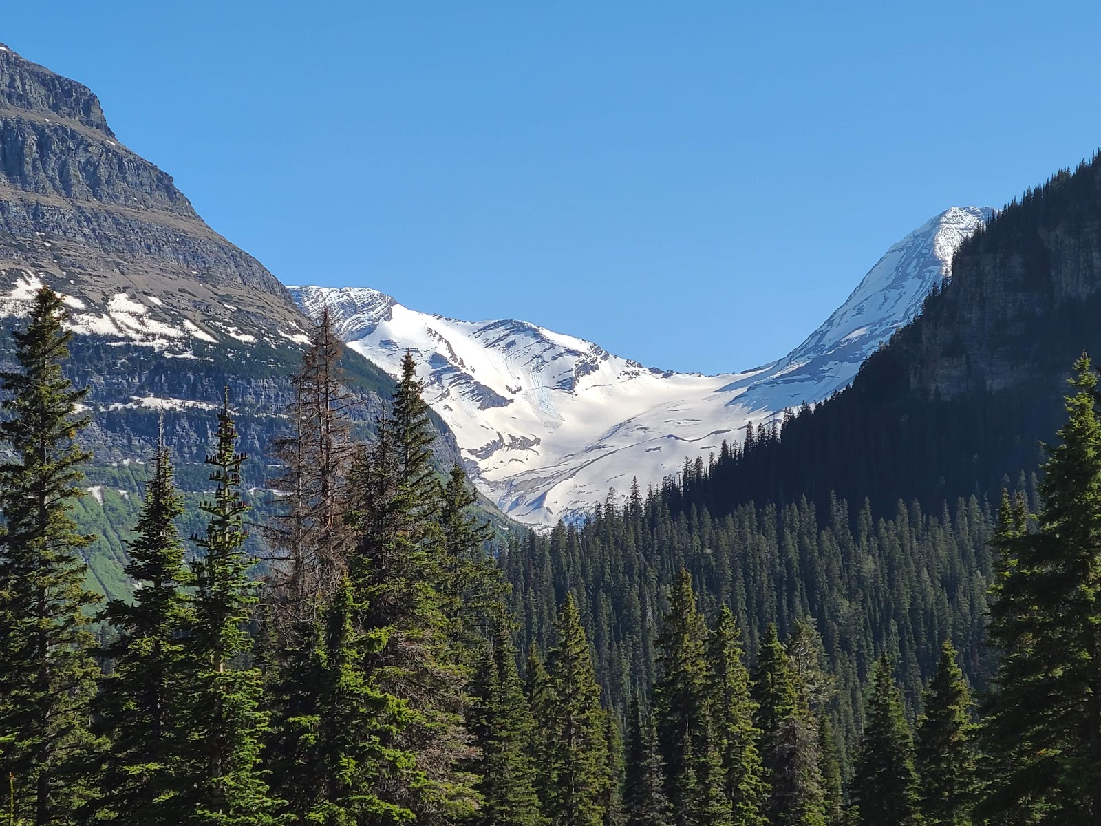 Heart of Glacier RV Park & Cabins