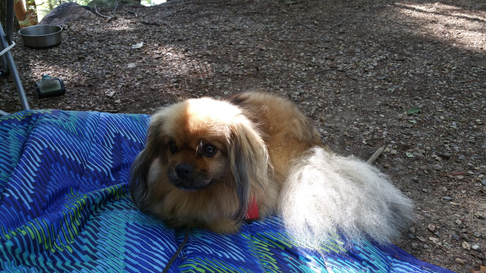 Lake Dean Campground