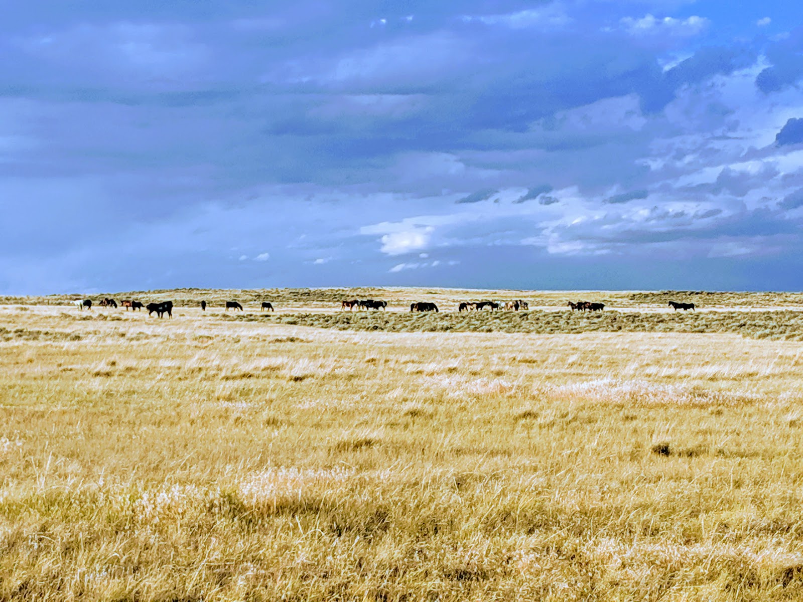 Parkway Village & RV Campground