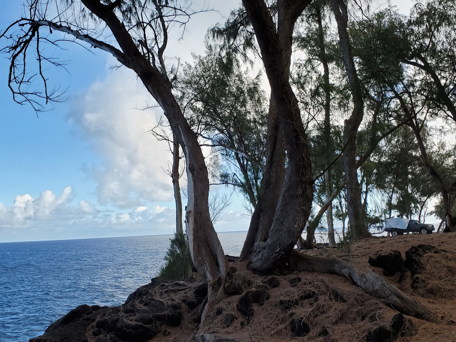 Mackenzie State Recreation Area