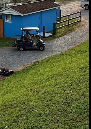 Swanns Marina and Campground