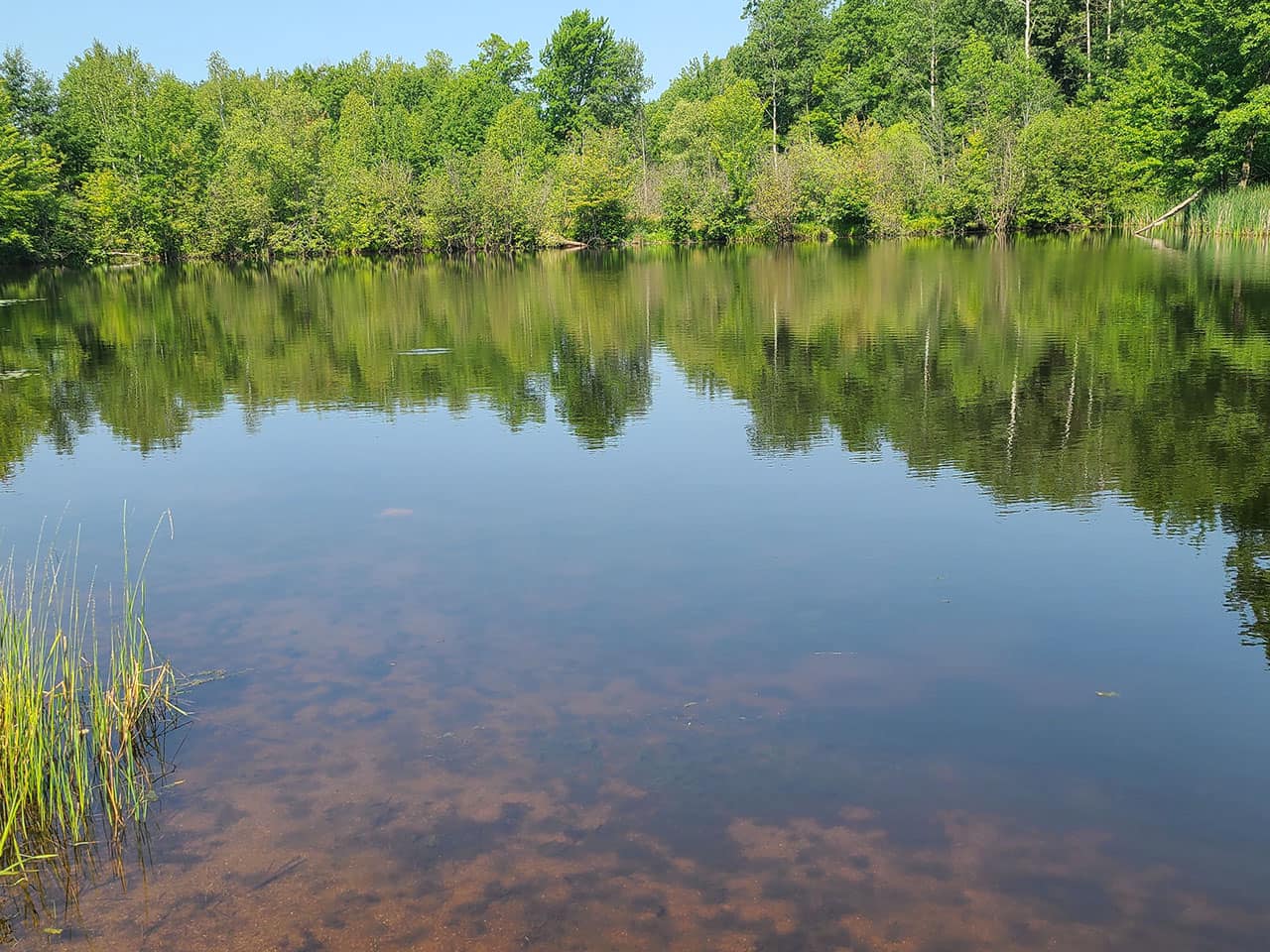 Flambeau Ridge Campground