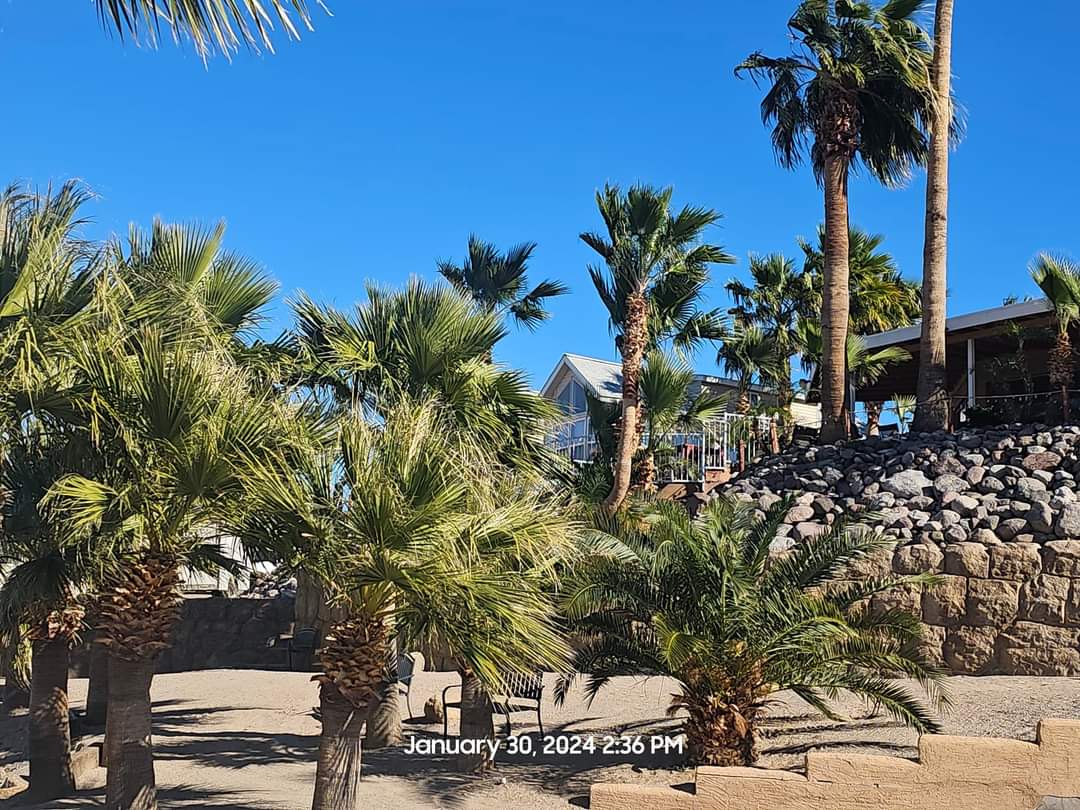 El Rio Waterfront Resort