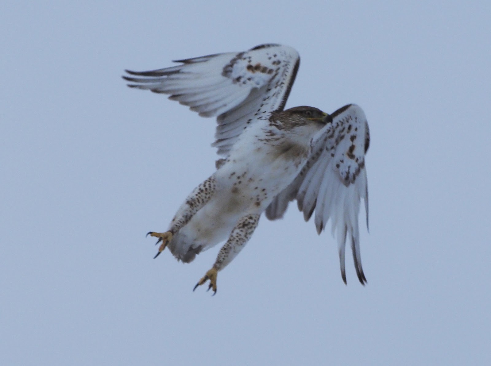 Bosque Birdwatchers RV Park