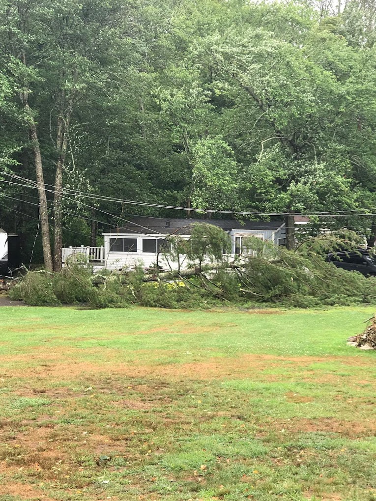 Lake Williams Campground