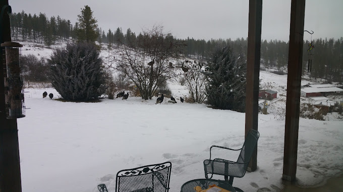 Beaver Lodge Resort & RV Park