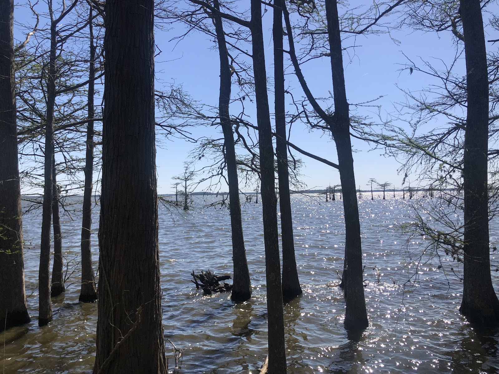 Osprey Nest Campground