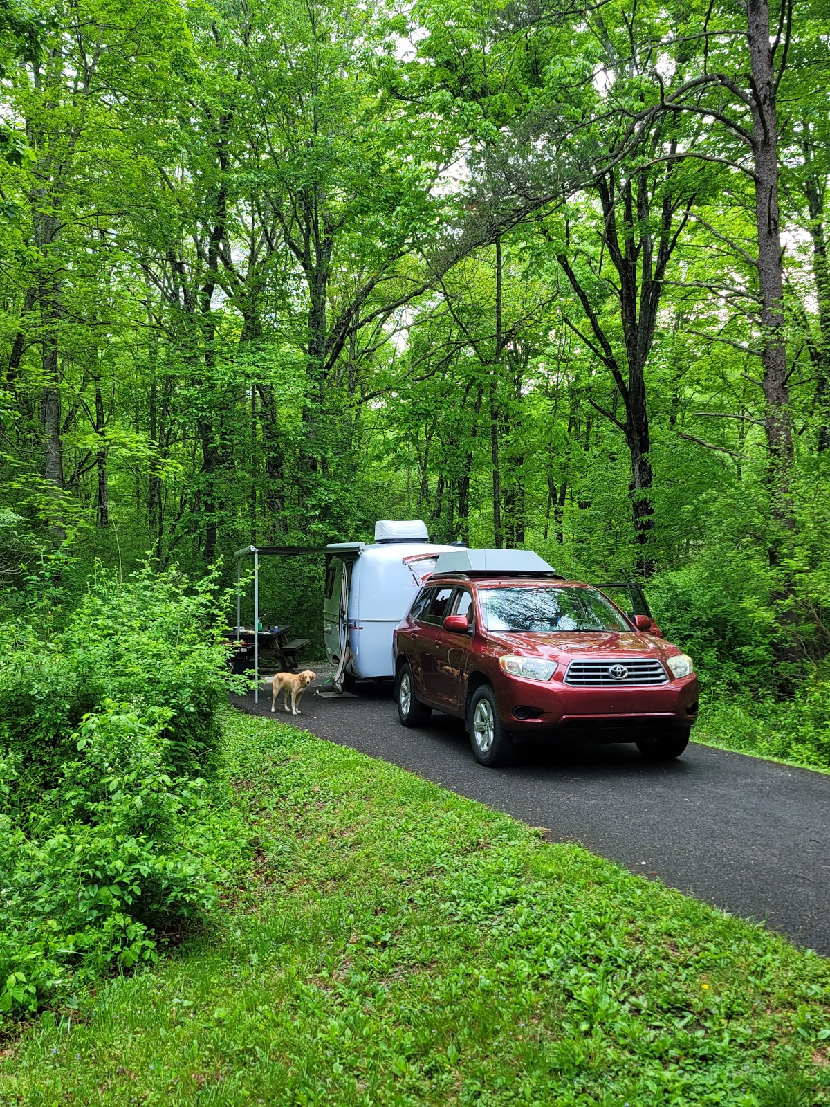 Highway 52 Campground