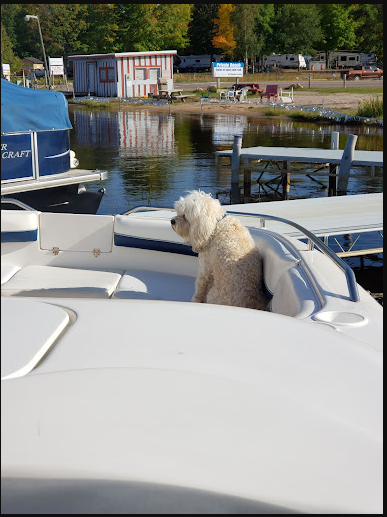 Three Lakes Campground