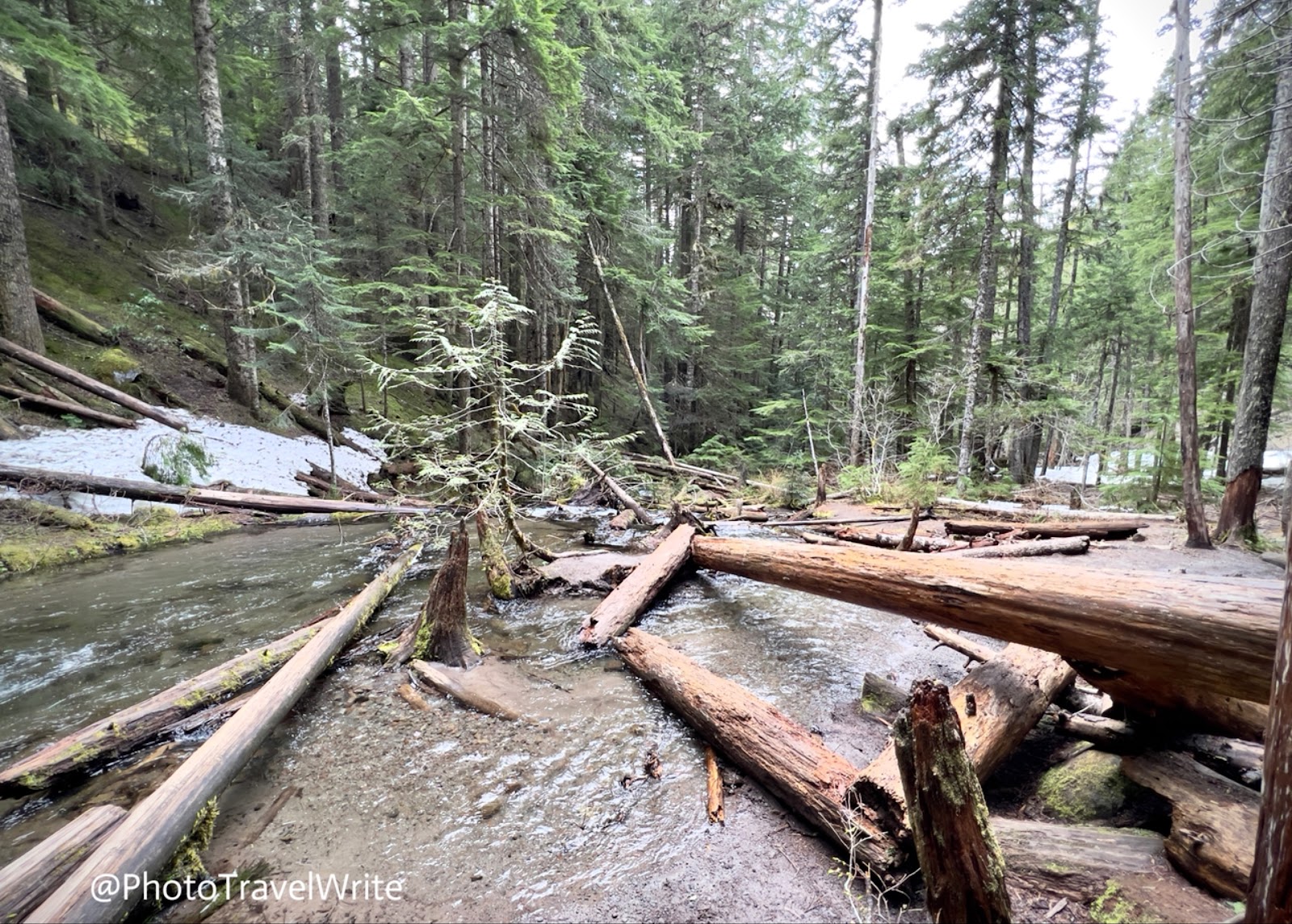 Cove Timothy Lake Campground