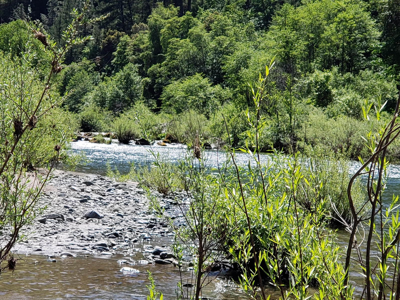 Skunk Point Group Campground